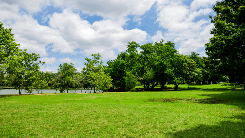 公園まで運んでもらうことは可能ですか？