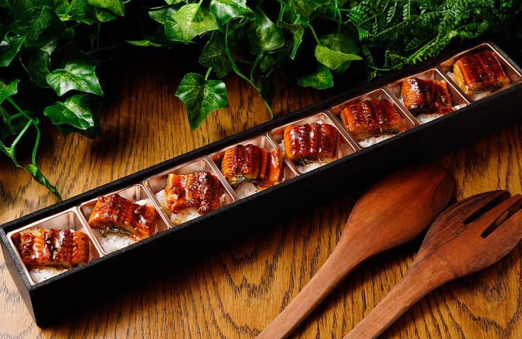 うなぎ蒲焼のせごはん