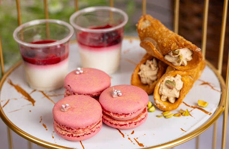 本日のマカロン/カンノーロ/ベリーパンナコッタ