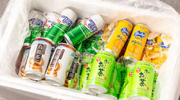 ソフトドリンク30本セット