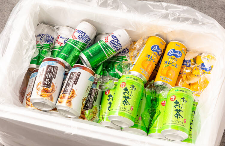 ソフトドリンク30本セット