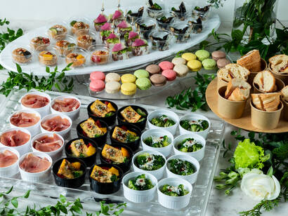 カジュアルプラン