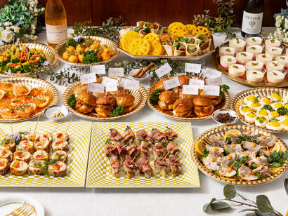 Roger’s フィンガー・プレミアムプラン