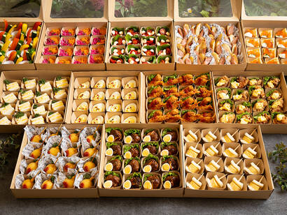 TAMAGOデラックスプラン