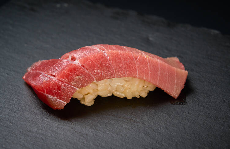 マグロ中トロ