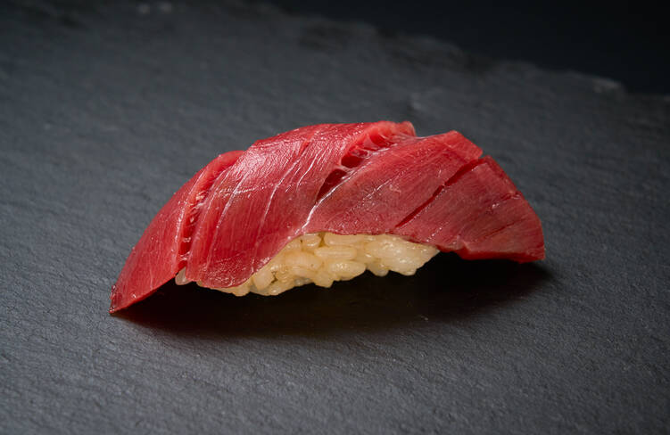 マグロ赤身
