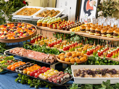 バルニバービ・プレミアム プラン