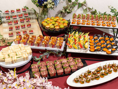 満足フィンガープラン ≪（新）dieci（ディエチ）≫