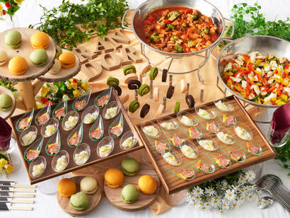 ロイス・カジュアルプラン