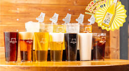 オリジナルスパークリングボトル付き!樽生ビール&厳選ドリンク飲み放題プラン(2,000円 / 人) - ケータリング