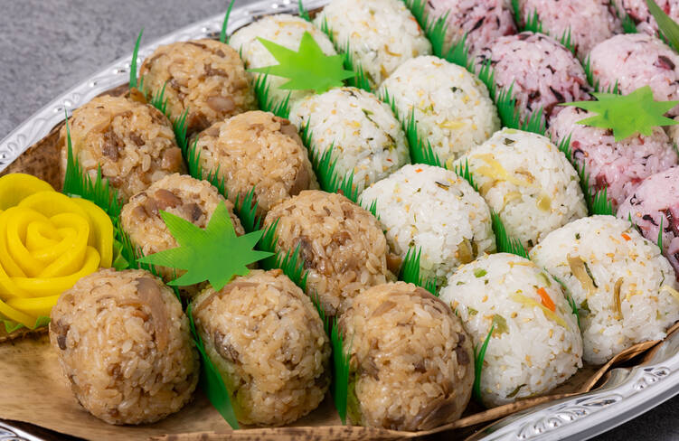 鶏めし・高菜めし