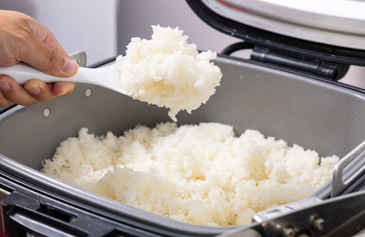 【温製】ごはん