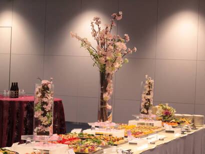 フォリクラッセ ミドルプラン