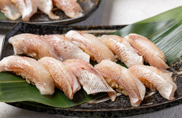 出張鮨 旬の魚(現地握り)