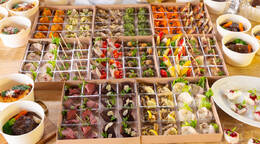 驚きの温製2品!COSHIRAEスーペリアブッフェ(5,000円 / 人) - オードブル