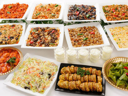 贅沢中華満漢全席プラン