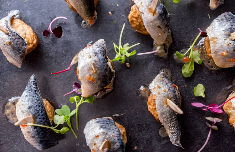 フィレとつみれのイワシピンチョス～カルパッチョソース～