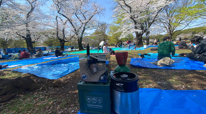 お花見にも