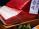 お寿司の王様【マグロ】へのこだわり