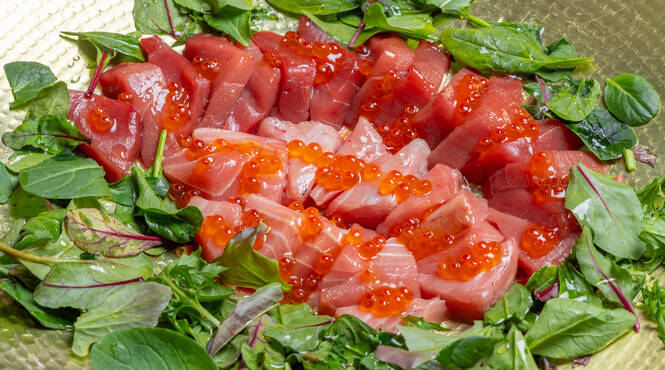 マグロの美味しさをご堪能ください