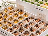 届いたその場を華やかな会場へ